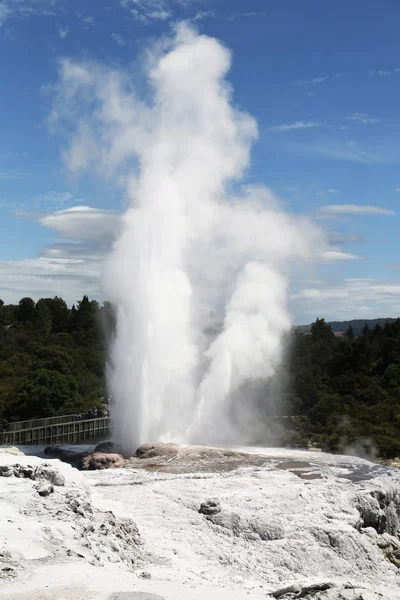 Pohutu Geysir Puia Nationalpark Rotorua Neuseeland — Stockfoto