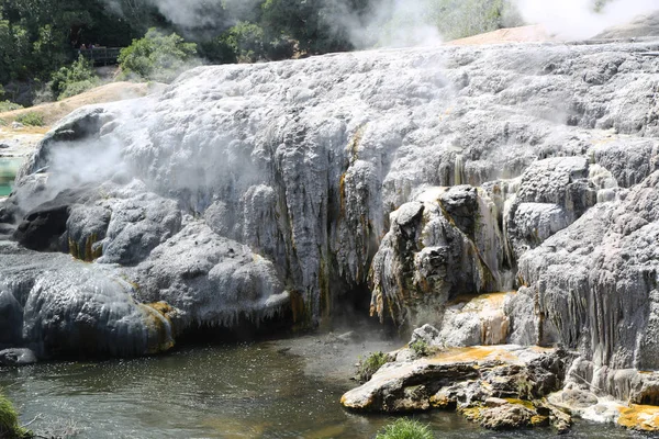 Geysers Vapor Puia National Park Rotorua Nova Zelândia — Fotografia de Stock