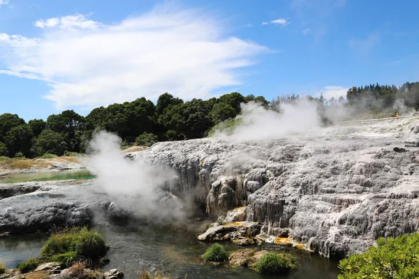 Geysers Vapor Puia National Park Rotorua Nova Zelândia — Fotografia de Stock