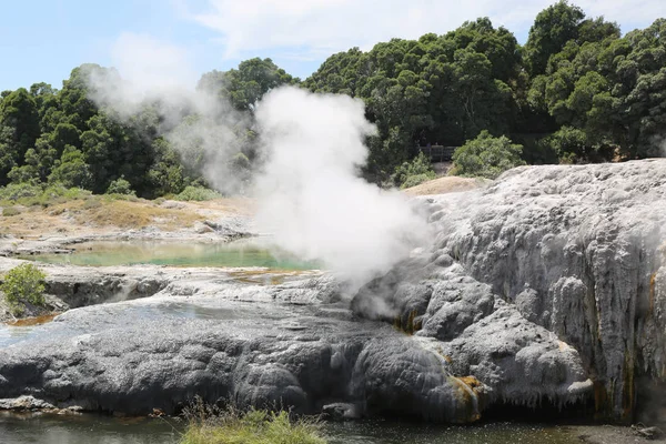 Steam Geysers Puia National Park Rotorua New Zealand — Stock Photo, Image