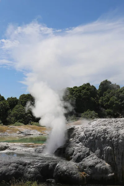 Θερμοπίδακες Ατμού Στο Εθνικό Πάρκο Puia Ροτορούα Νέα Ζηλανδία — Φωτογραφία Αρχείου
