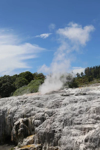Dampfgeysire Nationalpark Puia Rotorua Neuseeland — Stockfoto
