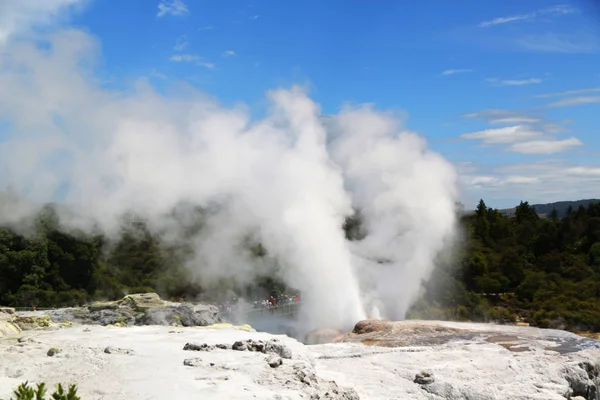 Pohutu Geysir Puia Nationalpark Rotorua Neuseeland — Stockfoto