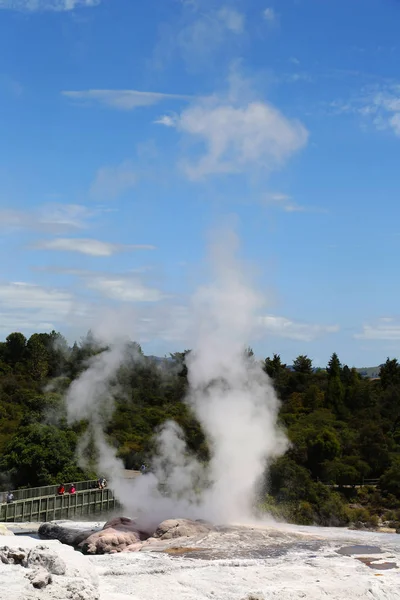 Pohutu Geysir Puia Nationalpark Rotorua Neuseeland — Stockfoto