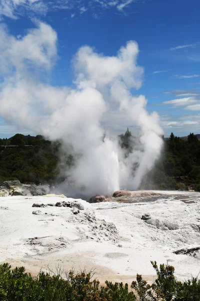 Pohutu Geyser Parque Nacional Puia Rotorua Nova Zelândia — Fotografia de Stock