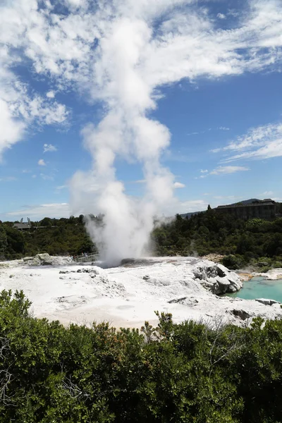 Pohutu Geyser Nel Parco Nazionale Puia Rotorua Nuova Zelanda — Foto Stock