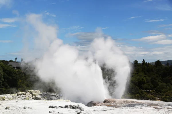 Pohutu Geysir Puia Nationalpark Rotorua Neuseeland — Stockfoto