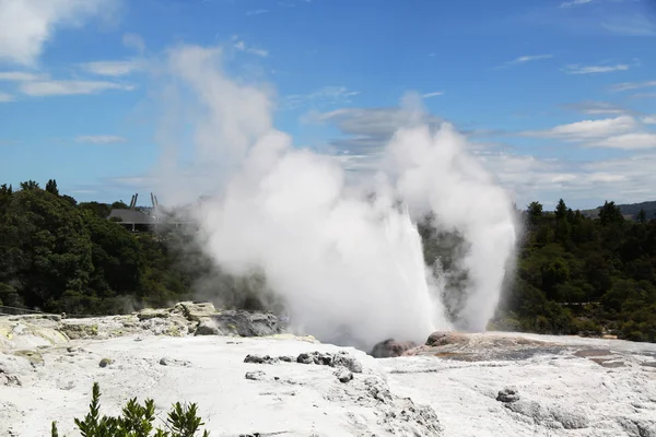 Pohutu Geysir Puia Nationalpark Rotorua Neuseeland — Stockfoto