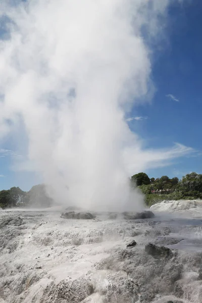 Pohutu Geysir Puia Nationalpark Rotorua Neuseeland — Stockfoto