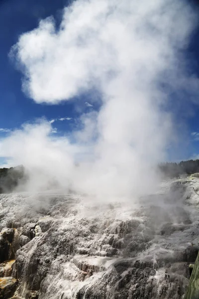 Pohutu Geysir Puia Nationalpark Rotorua Neuseeland — Stockfoto