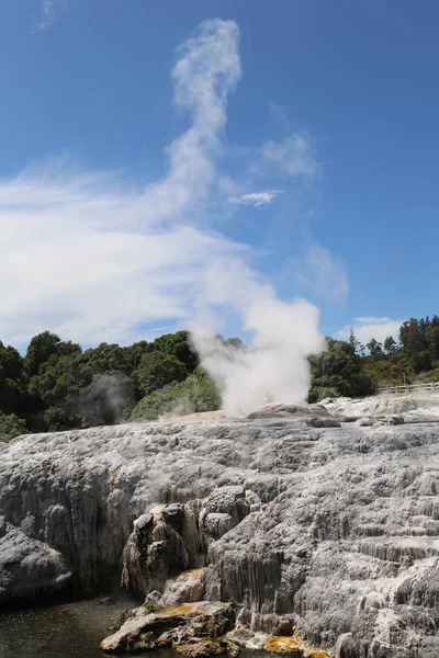 Гейзер Похуту Национальном Парке Пуйя Роторуа Новая Зеландия — стоковое фото