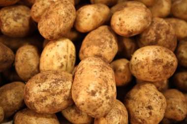 Avustralya pazarında fırçalanmış patates 