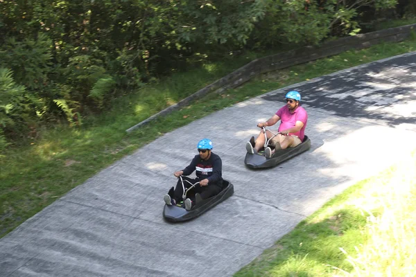 Rotorua Nya Zeeland Februari 2019 Besökare Rider Skyline Rotorua Luge — Stockfoto