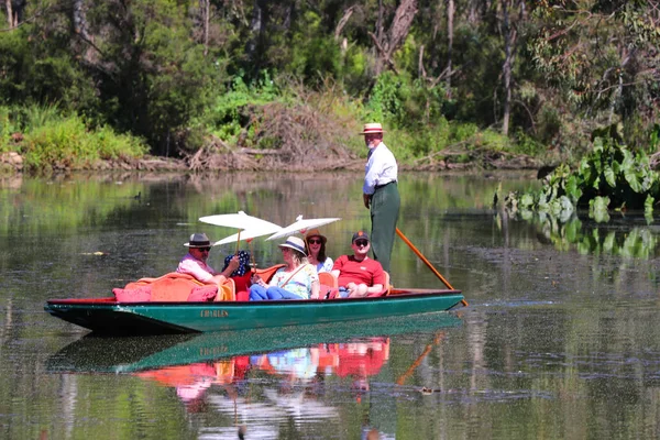 Melbourne Ausztrália Január 2019 Irányított Punting Boat Tour Dísztó Royal — Stock Fotó