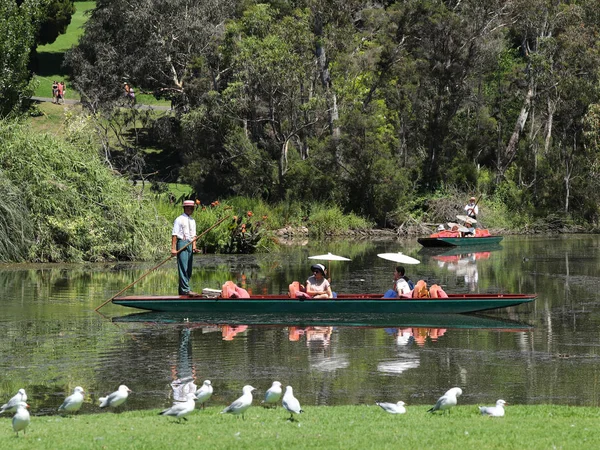 Melbourne Australia Enero 2019 Visita Guiada Lancha Acuática Por Lago —  Fotos de Stock