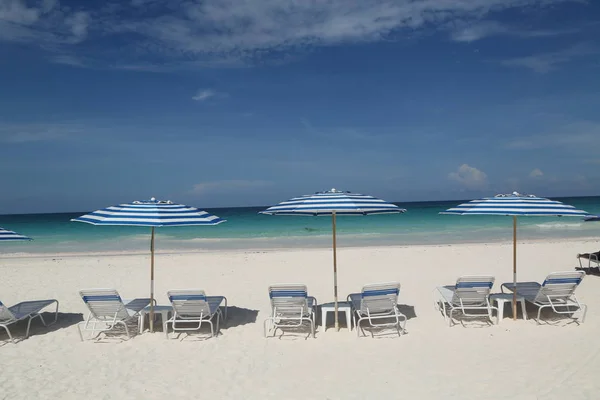 Scaune Plajă Umbrelă Plajă Frumoasă Din Caraibe Harbor Island Bahamas — Fotografie, imagine de stoc