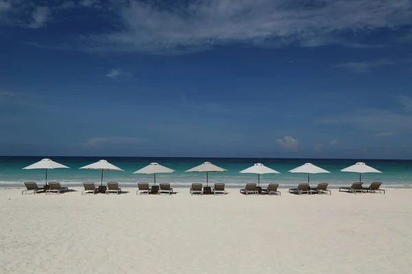 Sillas Playa Sombrilla Una Hermosa Playa Del Caribe Harbor Island — Foto de Stock