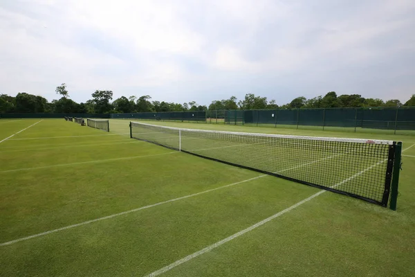 Court Tennis Herbe — Photo