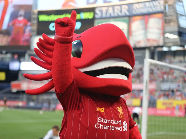 New York July 2019 Liverpool Mascot Mighty Red Yankee Stadium — Stock Photo, Image