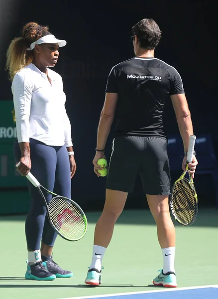 New York Augustus 2019 Grand Slam Kampioen Serena Williams Met — Stockfoto