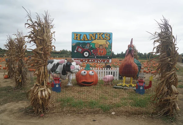 Wassermühle New York Oktober 2019 Hank Pumpkintown Water Mill Ist — Stockfoto