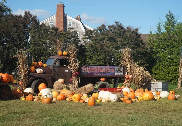 Cutchogue, New York - 30 Eylül 2019: Wickham 'ın Long Island' daki meyve çiftliğinde sonbahar festivalinde çok renkli balkabakları  