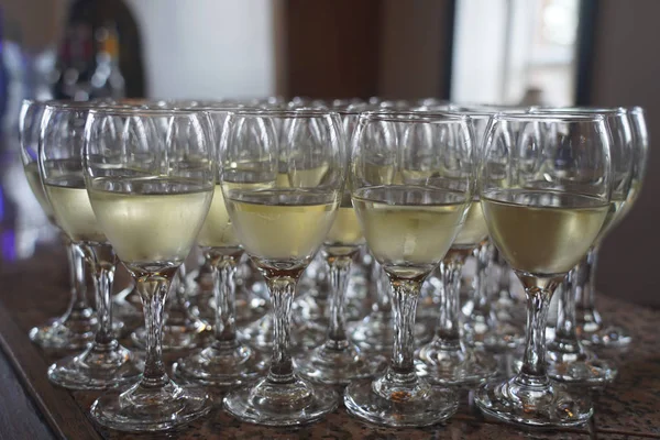 Üzüm Bağının Beyaz Şarap Tadımı — Stok fotoğraf