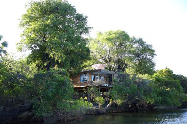VICTORIA FALls, ZIMBABWE - 2 Ekim 2018: Zimbabwe 'deki Victoria Falls Nehir Pansiyonu' ndaki Ada Ağaç Evi süiti. 