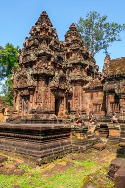Banteay Srei Hindu Tapınağı Kamboçya 'nın Angkor Wat bölgesinde yer almaktadır.