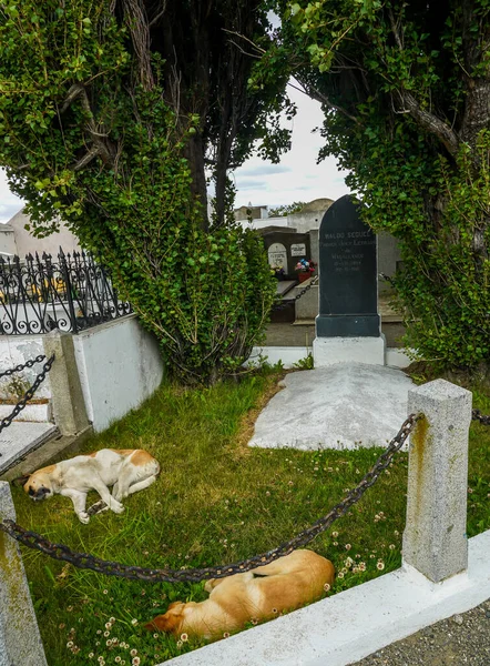 Punta Arenas Chile Janeiro 2020 Túmulos Sepulturas Cemitério Punta Arenas — Fotografia de Stock