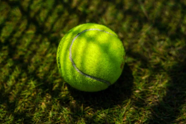 Tenis Topu Çimen Tenis Kortunda — Stok fotoğraf