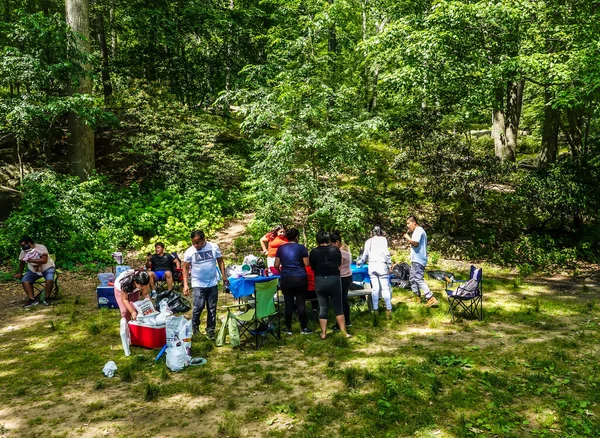 New York State Giugno 2020 Famiglia Che Picnic Riva Lago — Foto Stock