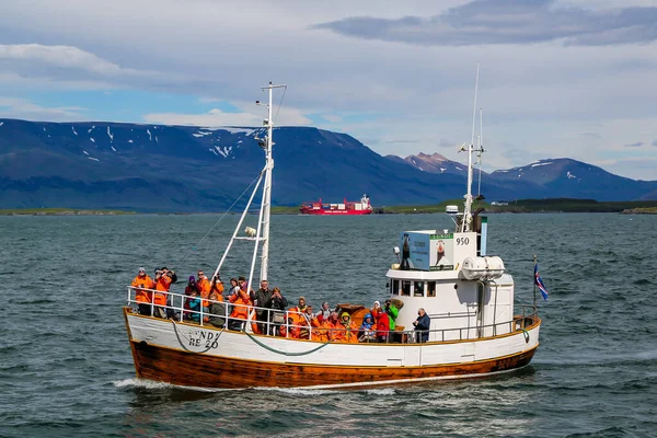 Reykjavik Iceland Lipiec 2016 Powrót Łodzi Turystycznej Puffin Watching Tour — Zdjęcie stockowe