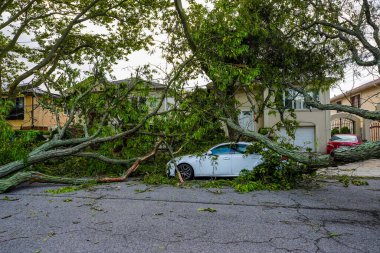 BrooKLYN, NEW YORK - 4 Ağustos 2020: Devrilen ağaçlar New York 'u vuran tropikal fırtına nedeniyle elektrik hatları, kaldırım ve araba hasar gördü 