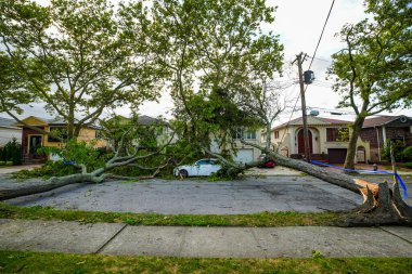 BrooKLYN, NEW YORK - 4 Ağustos 2020: Devrilen ağaçlar New York 'u vuran tropikal fırtına nedeniyle elektrik hatları, kaldırım ve araba hasar gördü 