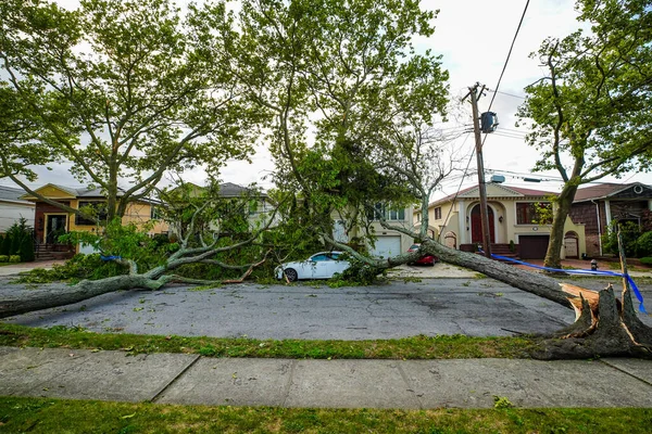 Brooklyn New York August 2020 Fallen Trees Damaged Power Lines — Stock Photo, Image