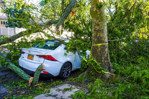 Brooklyn New York August 2020 Fallen Trees Damaged Power Lines — Stock Photo, Image