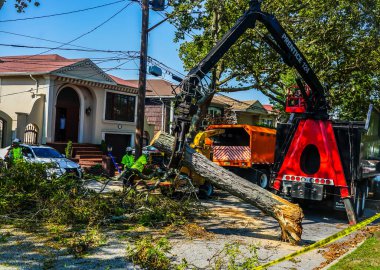 BROOKLYN, NEW YORK - 9 Ağustos 2020: New York City Park ekibi düşen bir ağacı kaldırmak için çalışıyor ve New York City 'deki tropikal fırtına Isaias' ı vurduğunda şiddetli hava durumunu temizliyor 