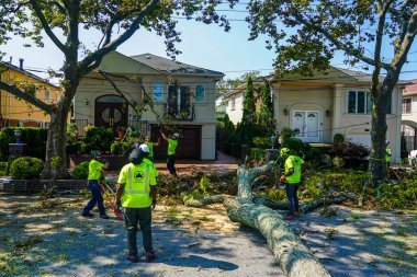 BROOKLYN, NEW YORK - 9 Ağustos 2020: New York City Park ekibi düşen bir ağacı kaldırmak için çalışıyor ve New York City 'deki tropikal fırtına Isaias' ı vurduğunda şiddetli hava durumunu temizliyor 