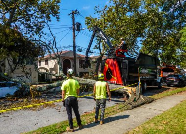 BROOKLYN, NEW YORK - 9 Ağustos 2020: New York City Park ekibi düşen bir ağacı kaldırmak için çalışıyor ve New York City 'deki tropikal fırtına Isaias' ı vurduğunda şiddetli hava durumunu temizliyor 