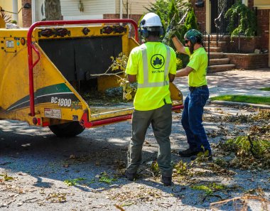 BROOKLYN, NEW YORK - 9 Ağustos 2020: New York City Park ekibi düşen bir ağacı kaldırmak için çalışıyor ve New York City 'deki tropikal fırtına Isaias' ı vurduğunda şiddetli hava durumunu temizliyor 