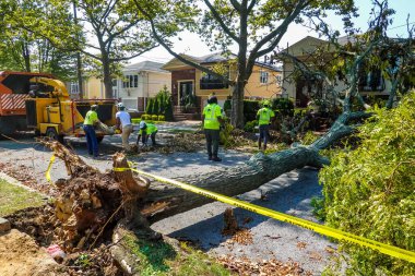 BROOKLYN, NEW YORK - 9 Ağustos 2020: New York City Park ekibi düşen bir ağacı kaldırmak için çalışıyor ve New York City 'deki tropikal fırtına Isaias' ı vurduğunda şiddetli hava durumunu temizliyor 