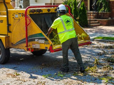 BROOKLYN, NEW YORK - 9 Ağustos 2020: New York City Park ekibi düşen bir ağacı kaldırmak için çalışıyor ve New York City 'deki tropikal fırtına Isaias' ı vurduğunda şiddetli hava durumunu temizliyor 