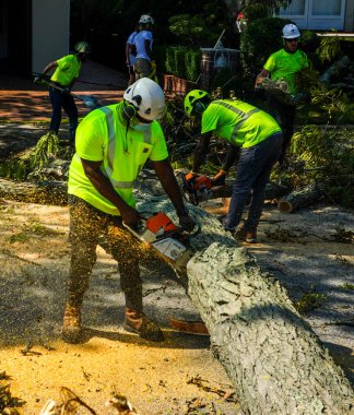 BROOKLYN, NEW YORK - 9 Ağustos 2020: New York City Park ekibi düşen bir ağacı kaldırmak için çalışıyor ve New York City 'deki tropikal fırtına Isaias' ı vurduğunda şiddetli hava durumunu temizliyor 