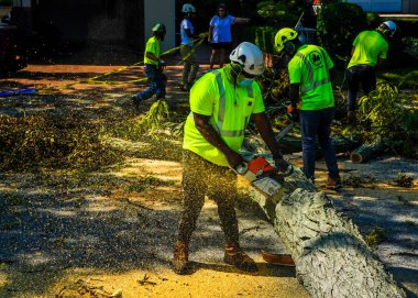 BROOKLYN, NEW YORK - 9 Ağustos 2020: New York City Park ekibi düşen bir ağacı kaldırmak için çalışıyor ve New York City 'deki tropikal fırtına Isaias' ı vurduğunda şiddetli hava durumunu temizliyor 