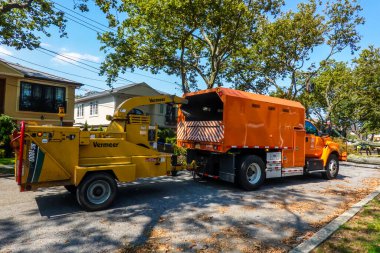 BROOKLYN, NEW YORK - 9 Ağustos 2020: New York City Park ekibi düşen bir ağacı kaldırmak için çalışıyor ve New York City 'deki tropikal fırtına Isaias' ı vurduğunda şiddetli hava durumunu temizliyor 