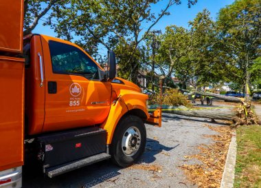 BROOKLYN, NEW YORK - 9 Ağustos 2020: New York City Park ekibi düşen bir ağacı kaldırmak için çalışıyor ve New York City 'deki tropikal fırtına Isaias' ı vurduğunda şiddetli hava durumunu temizliyor 