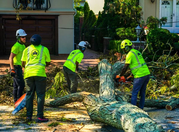 Brooklyn New York August 2020 New York City Parks Crew — Stock Photo, Image