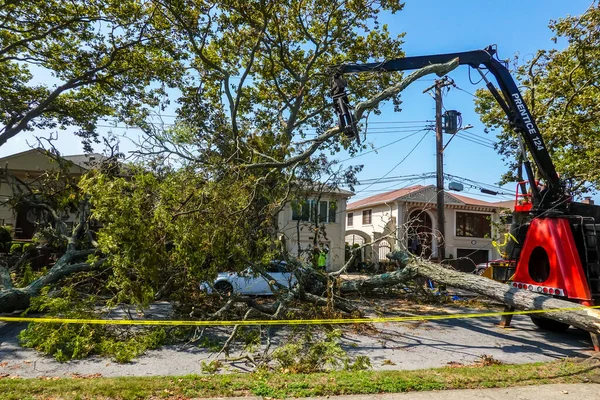 BROOKLYN, NEW YORK - 9 Ağustos 2020: New York City Park ekibi düşen bir ağacı kaldırmak için çalışıyor ve New York City 'deki tropikal fırtına Isaias' ı vurduğunda şiddetli hava durumunu temizliyor 