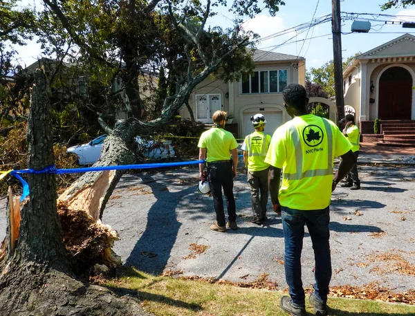 Brooklyn New York August 2020 New York City Parks Crew — Stock Photo, Image